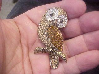 Vintage Owl Pin Bird X Large Honey T Clear Crystal Rhinestone Gold T
