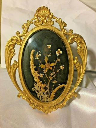 Vintage 24k Gold Plated Ormolu Convex Glass Oval 8 " By 6 " Picture Frame