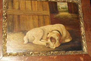 ANTIQUE VINTAGE OIL PAINTING ON wood panel DOG IN BARN in oak frame 4