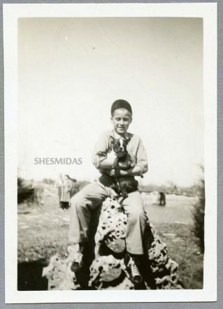 941 Lucky Boy With His Boston Terrier Dog,  Vintage Photo