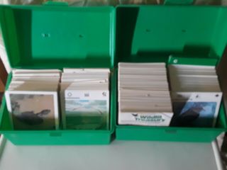 Vintage Wildlife Treasury Cards Two Boxes Hundreds Of Cards 1975