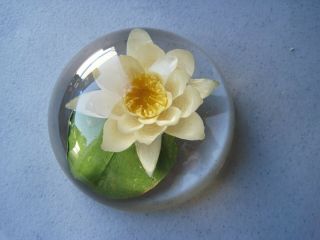 Vintage Signed By Artist W Rolfe Lucite Real Flower Paperweight