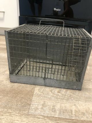 Vintage Metal Gerbil Pet Cage With Wheel