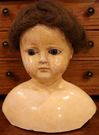 Antique Giant 8 " Paper Mache Doll Head,  7 " Across Shoulders W/human Hair Wig