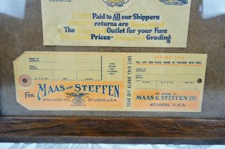Rare Vintage Mid C 1930 ' s Maas Steffen Fur Advertising Brochures Packets Framed 3