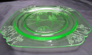 1931 Vintage Federal Green Depression Glass Parrot Sylvan 9 Inch Dinner Plate