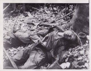 Dead Japanese Soldier In Guinea Ww2 Wwii Rare Vintage 1943 War Press Photo