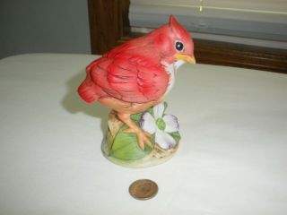 Vintage Cardinal Baby Bird Figurine,  Andrea By Sadek,  Pristine,  6350 Made - Japan