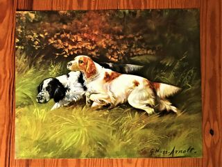 Vintage Gustav Muss - Arnolt (1858 - 1927) 16x20 " Lithograph Spaniels Hunting Dogs