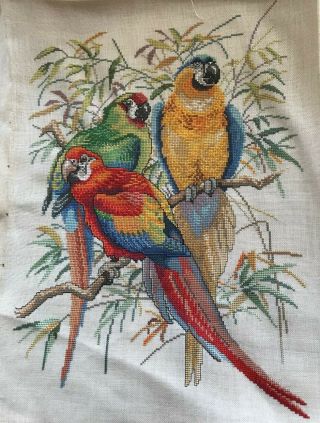 Swedish Vintage Embroidered Wool Tapestry,  Three Parrots On A Branch