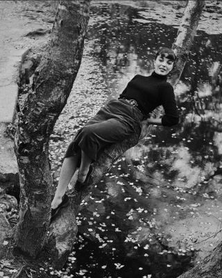 Joan Collins Vintage Candid Pic In Tree 8x10 Photo