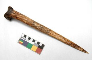Old Vintage Sepik Guinea Cassowary Bone Dagger Warrior Cannibal Knife 1