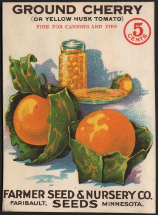 Vintage Ground Cherry Vegetable Seed Packet Front Only Farmer Seed Co 1930 