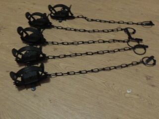 5 Very Strong $1 1/2 Victor Coil Spring Traps,  Dyed,