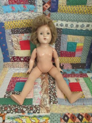 Effanbee Little Lady Composition Doll Nude 17 "