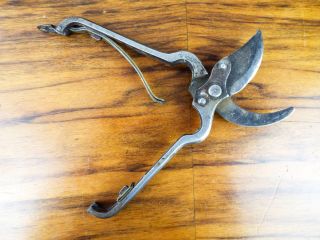 Vintage Hibbard Hand Held Garden Clippers Pruners Metal Tools Pruning Scissors 3