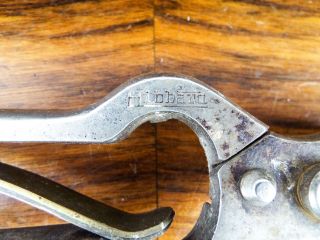 Vintage Hibbard Hand Held Garden Clippers Pruners Metal Tools Pruning Scissors 4