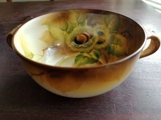 Vintage Noritake Hand Painted Bowl,  Made In Japan,  Luster Ware,  Walnuts Euc