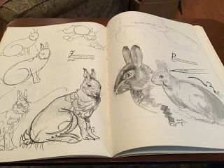 Vintage Walter T.  Foster How To Draw Animals - 1960 ' s - Book 12 4
