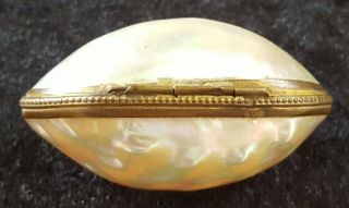 Mother Of Pearl & Brass Vintage Victorian Antique Clam Shell Trinket Box