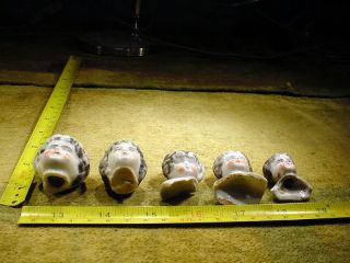 5 x excavated faded painted vintage victorian Doll head Hertwig age 1860 12402 2