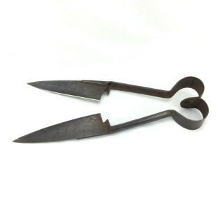 Vintage Sheffield Hand Sheep Shears Wool Clippers Cutters With Leather String