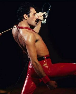 Freddie Mercury Queen Sexy Shirtless Vintage Concert Photo 8 X 11 Inch