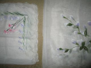 2 Vintage Hand Painted Japanese Food Throw Overs/covers