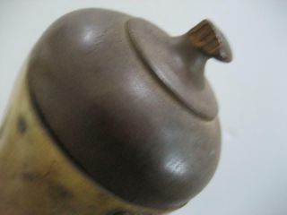 Curvy Antique Powder Horn 13 - 1/2 inches 4