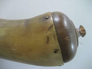 Curvy Antique Powder Horn 13 - 1/2 inches 5