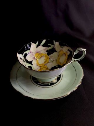 Vintage Double Warrant Paragon Black & Green Tea Cup & Saucer Daffodils 3