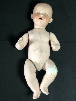 RARE Armand Marseille German Bisque Baby Doll 11” George Borgfeldt 251 A 2/0 M 2