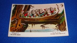 Vintage Disney Snow White Postcard