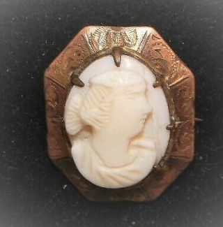 Vintage Art Deco Carved Shell Petite Cameo Brooch Etched Brass C Clasp