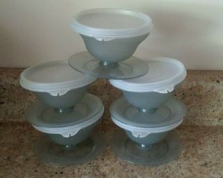 5 Vintage Smoke Grey Tupperware Pudding Ice Cream Short Dessert Cups With Lids