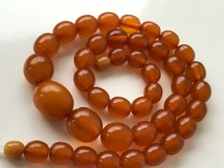 VINTAGE Beads Necklace Butterscotch Egg Yolk Baltic Amber 33.  11 gr 8