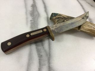 Vintage Schrade Old Timer Usa 165 Hunting Knife Bowie Skinning