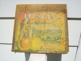 Vintage Wooden Apple Crate Box End Advertising Lo - A - Lo Indian Chief Canada Label