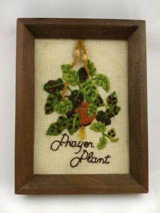 Vintage Completed Framed Crewel Embroidery Prayer Plant 1976