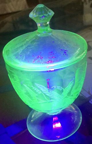 Vintage Green Vaseline Uranium Glass Candy Dish / Jar 6 Inches Tall