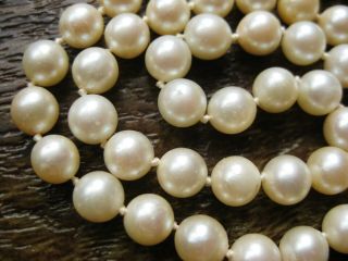 Vintage 10k White Gold 7mm South Seas Pearl 16.  5 " Choker Necklace Strand