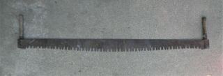 Vintage 2 - Man Crosscut Logging Saw 66 " - Long Blade W/ 2 - Handles