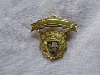 Vintage Sons Of Norway Medal Pin 25 Years Norwegian Fraternal Society Antique