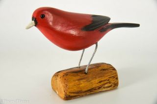 Jim Slack Song Bird Scarlet Tanager Signed By Artist Gh482
