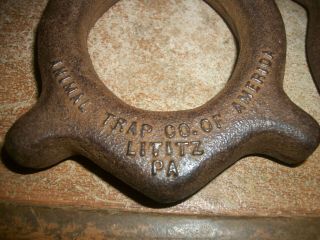 (2) Vintage Duck Decoy weights Animal Trap Co.  Lititz Pa,  Victor Trap 3