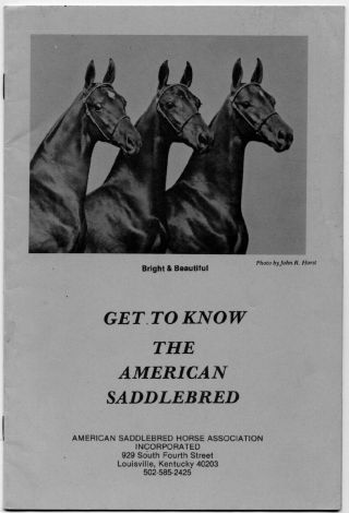 Vintage American Saddlebred Horse Brochure,  George Ford Morris,  Walter L.  Brown