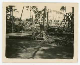 Trees Fall On A Roller Coaster Vintage Snapshot Photo