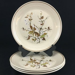 Set Of 4 Vtg Dinner Plates 10 3/8 " By Royal Doulton Wild Cherry Ls1038 England