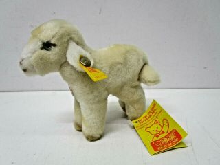 Vintage Steiff Plush Lamby Baby Lamb W/ Tag And Button 6 " Long