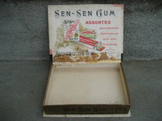 Vintage Sen Sen Chewing Gum Book Store Counter Display 2